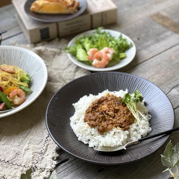 食器 和食器 おしゃれ 皿 カレー皿 ワイア反型8.0皿 パスタ皿 食器 和食器 おしゃれ 皿 カレー皿 ワイア反型8.0皿 パスタ皿
