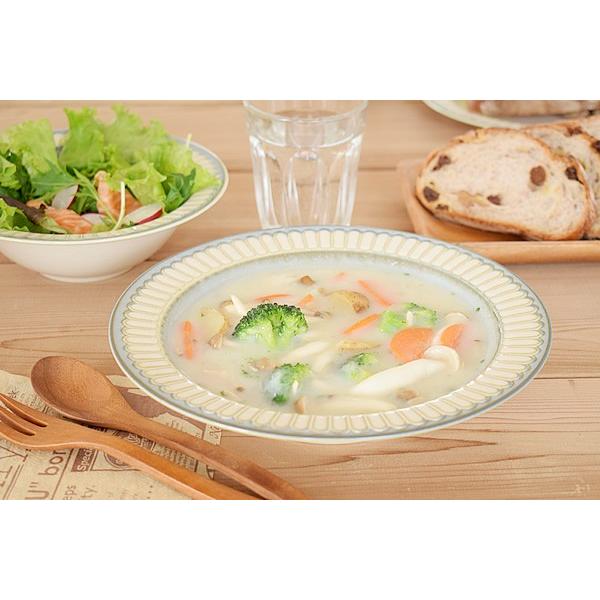 食器 おしゃれ 皿 カレー皿 ポットマム21.1cmスープ＆サラダボウル