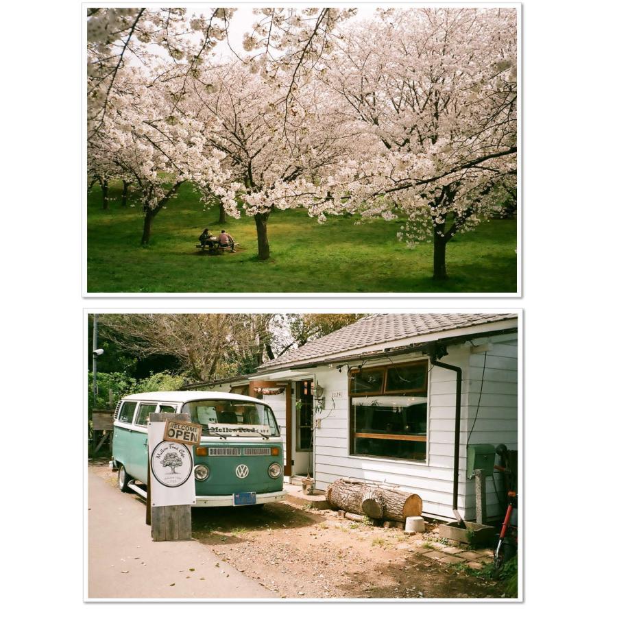 整備済】【保証付 】 ヤシカ YASHICA ELECTRO 35MC S/N 208157（ケース