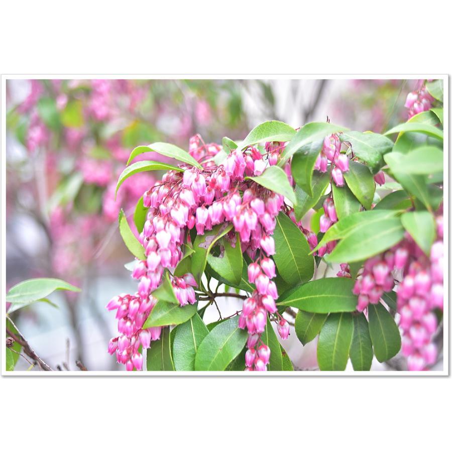 保証付 】【中古】 オールドレンズ Nikon NIKKOR 35mm f2.8 ニコン F