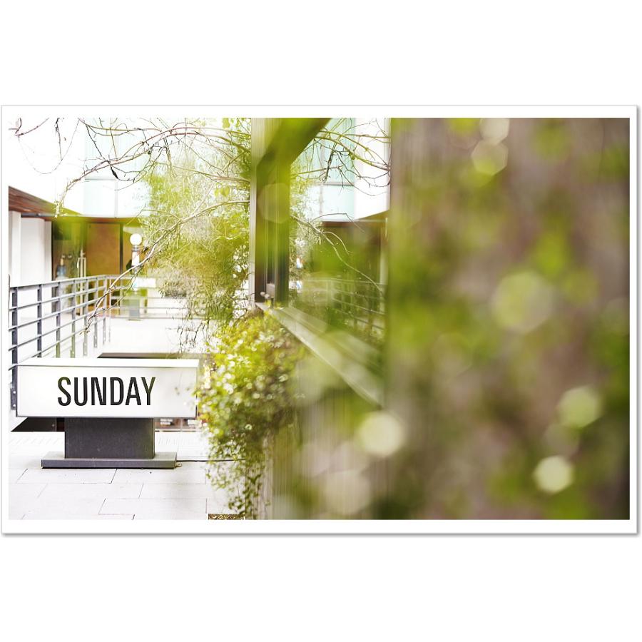 保証付 】【中古】 オールドレンズ Nikon NIKKOR-S.C Auto 50mm f1.4