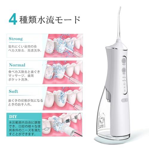 口腔洗浄器 ジェットウォッシャー 5本ノズル 4種水流モード