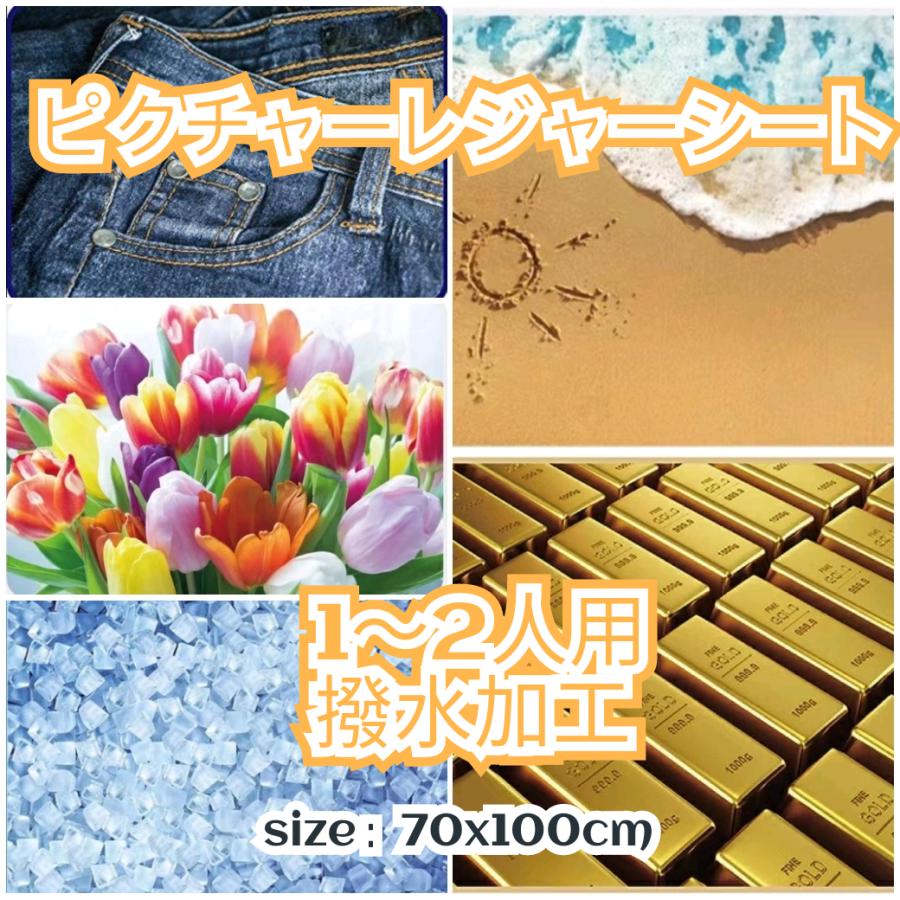 裏面撥水加工 ピクチャーレジャーシート 1~2人用 70×100cm x-25 : MI