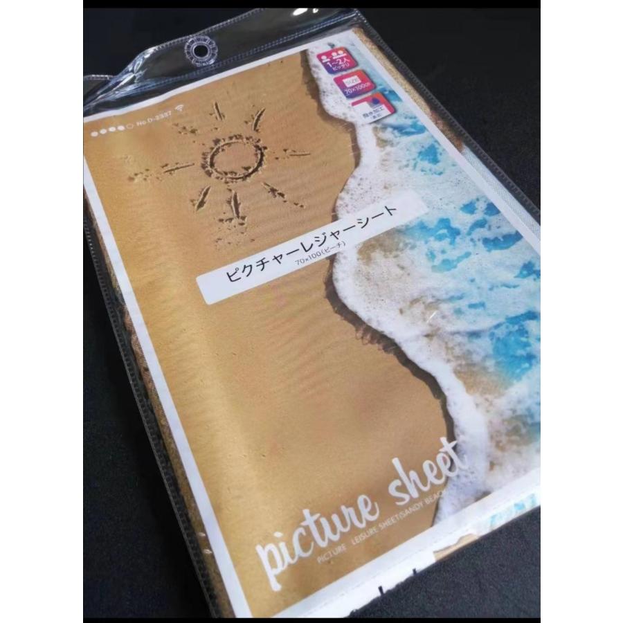 裏面撥水加工 ピクチャーレジャーシート 1~2人用 70×100cm x-25 : MI