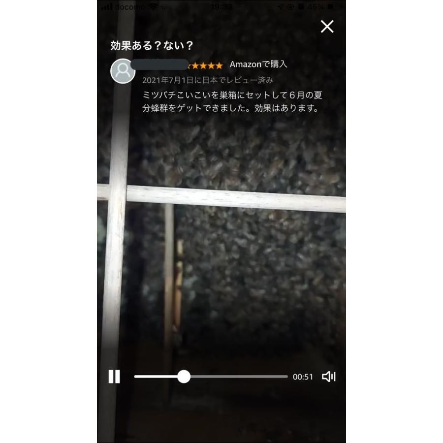 超ポイントバック祭 誘引ルアー ニホンミツバチ専用 養蜂を始める方に ミツバチこいこい 日本密蜂 分蜂群誘引剤 逃亡群誘引剤 Dprd Jatimprov Go Id