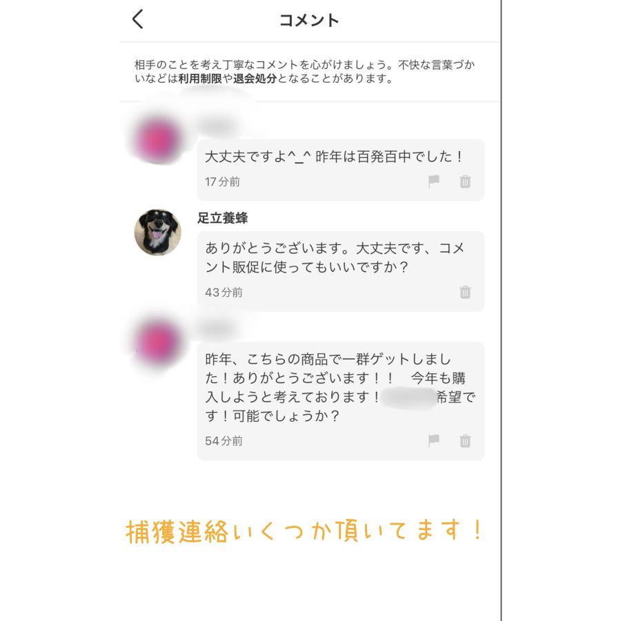 ミツバチ誘引剤【4個セット】ミツバチ誘引ルアー 養蜂を始める方に ニホンミツバチ専用  日本蜜蜂 分蜂群誘引剤 屋上養蜂 待ち箱に 2025年版 約45日間効果持続 |  | 04