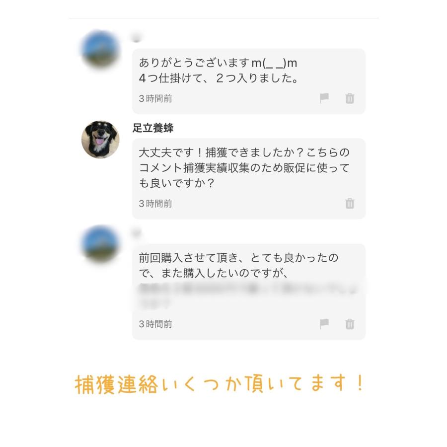 ミツバチ誘引剤【4個セット】ミツバチ誘引ルアー 養蜂を始める方に ニホンミツバチ専用  日本蜜蜂 分蜂群誘引剤 屋上養蜂 待ち箱に 2025年版 約45日間効果持続 |  | 05