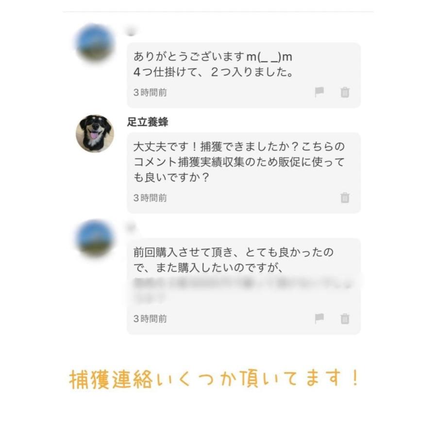 ミツバチ誘引剤【単品】ミツバチ誘引ルアー 養蜂を始める方に