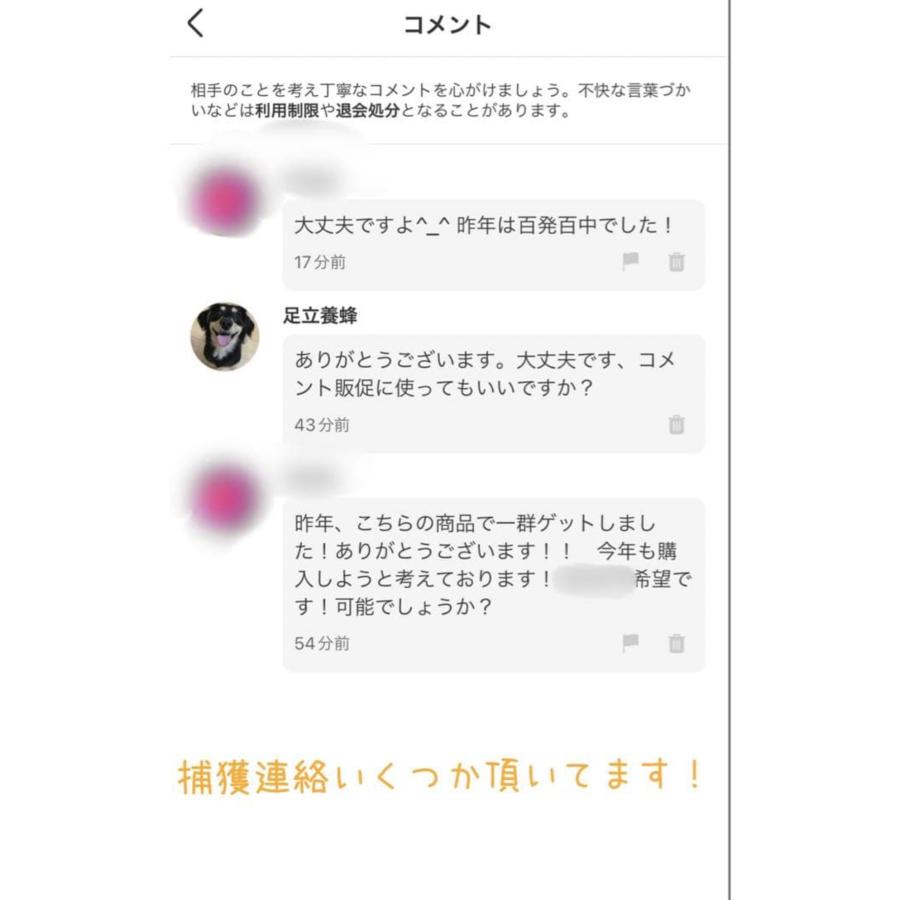 ミツバチ誘引剤【単品】ミツバチ誘引ルアー 養蜂を始める方に