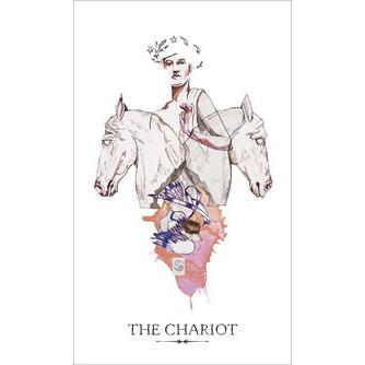 ザ ラインストライダー タロット The Linestrider Tarot 占い タロット