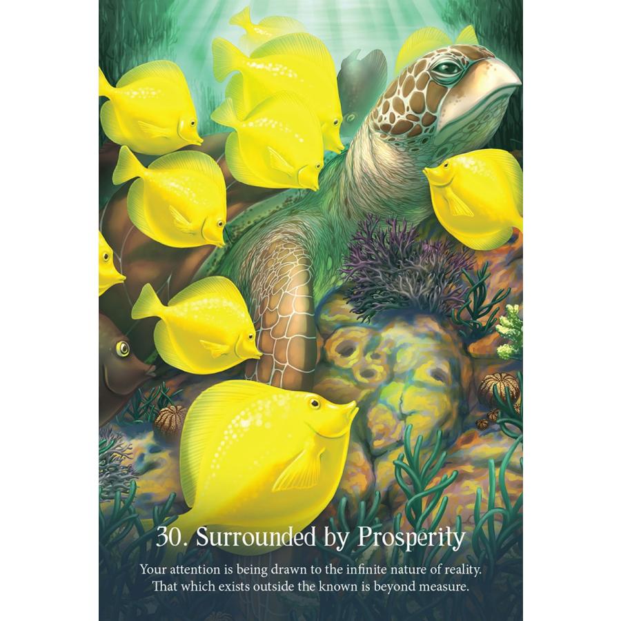 ウィスパーズ オブ ザ オーシャン オラクル カード Whispers of the Ocean Oracle Cards 占い オラクルカード 英語のみ :A1911-01233:M.I.B.store Yahoo!店 - 通販 - Yahoo!ショッピング ウィスパーズ オブ ザ オーシャン オラクル カード Whispers of the Ocean Oracle Cards 占い オラクルカード 英語のみ :A1911-01233:M.I.B.store Yahoo!店 - 通販 - Yahoo!ショッピング