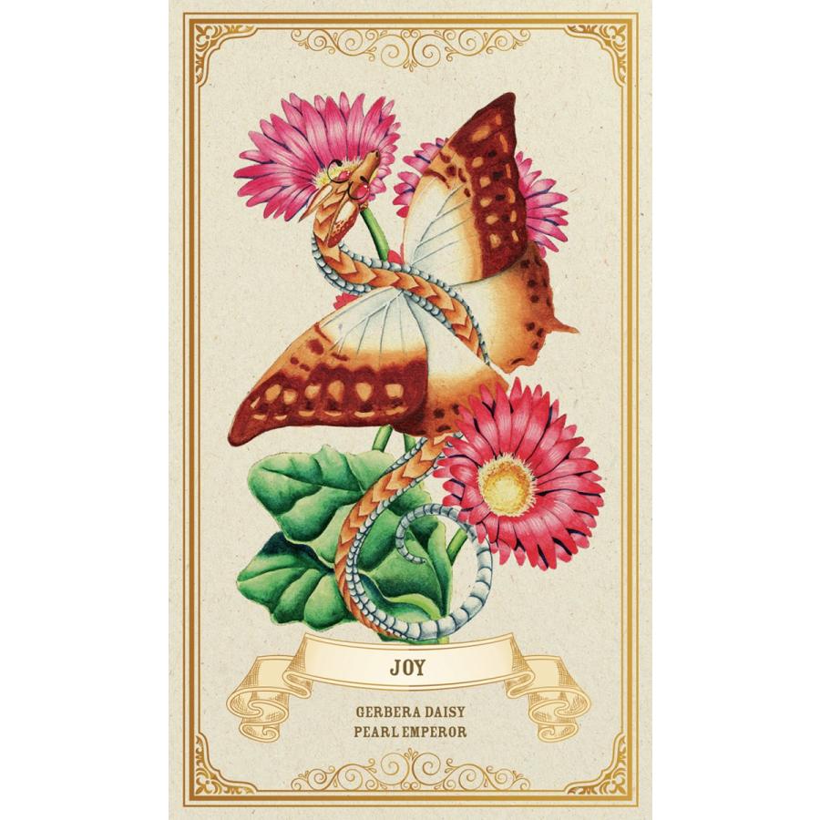 エンチャンテッド ブロッサム エンパワーメント オラクル カード Enchanted Blossoms Empowerment Oracle 占い オラクルカード 花 英語のみ A1911 M I B Store Yahoo 店 通販 Yahoo ショッピング
