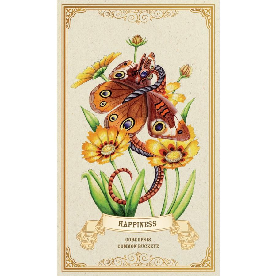 エンチャンテッド ブロッサム エンパワーメント オラクル カード Enchanted Blossoms Empowerment Oracle 占い オラクルカード 花 英語のみ A1911 M I B Store Yahoo 店 通販 Yahoo ショッピング