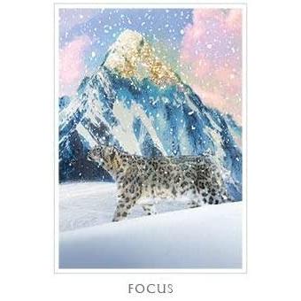 セイクレッド デスティニー オラクル Sacred Destiny Oracle オラクルカード 占い カード デニス リン 英語のみ A1911 M I B Store Yahoo 店 通販 Yahoo ショッピング