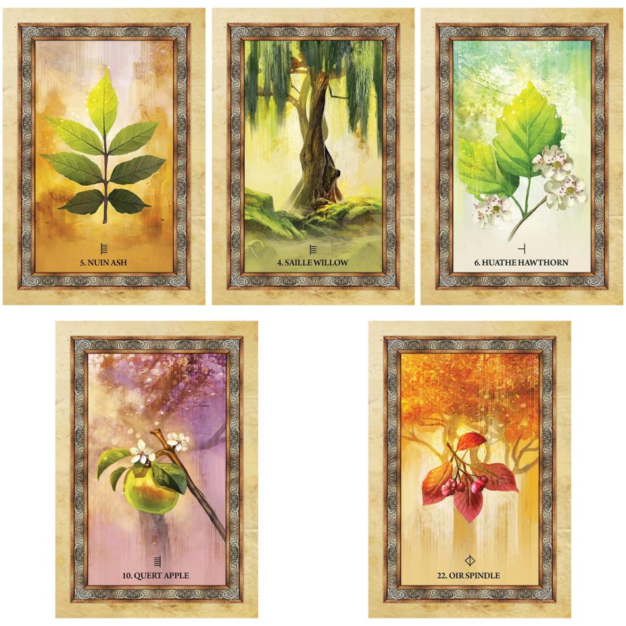 ケルト ツリー オラクル Celtic Tree Oracle ケルトの木 オラクル