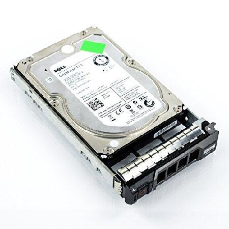 並行輸入 Dell 1TB 7.2K 3.5インチ NL SAS 6Gbs HDD (FNW88)。 : MIBA