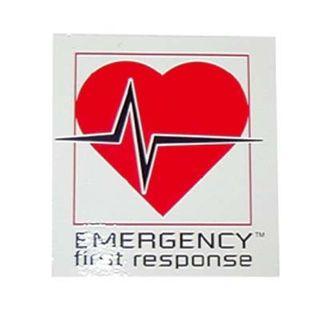 [ PADI ] パディジャパン EFRステッカー 50151 | 