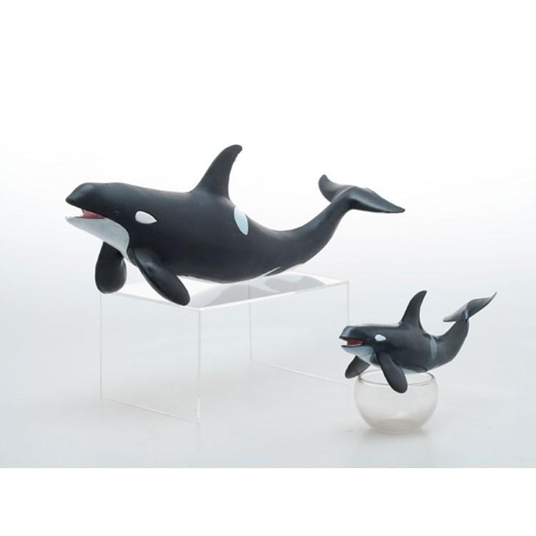 [ フェバリット ] FM-301 シャチ ビニールモデル（70656） |  | 03