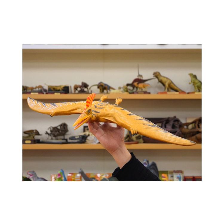 [ フェバリット ] DINOSAUR ダイナソー 恐竜 プテラノドン ビニールモデル プレミアムエディション (73355) |  | 03