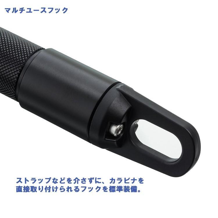 [ DiveExtreme ] ダイブエクストリーム LEDダイブライト DL1001 [150m防水] 水中ライト |  | 05