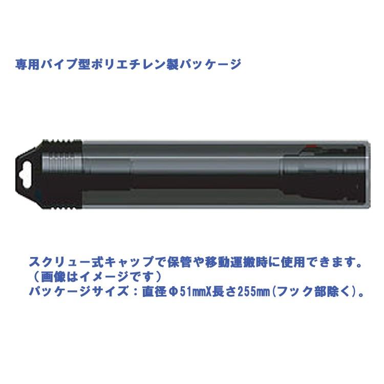 [ DiveExtreme ] ダイブエクストリーム LEDダイブライト DL1001 [150m防水] 水中ライト |  | 06