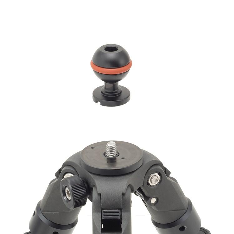 [ INON ] イノン シューベース BALL | INON | 02