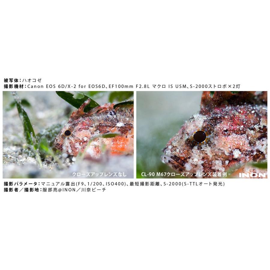 [ INON ] イノン UCL-90 M67水中クローズアップレンズ | INON | 03