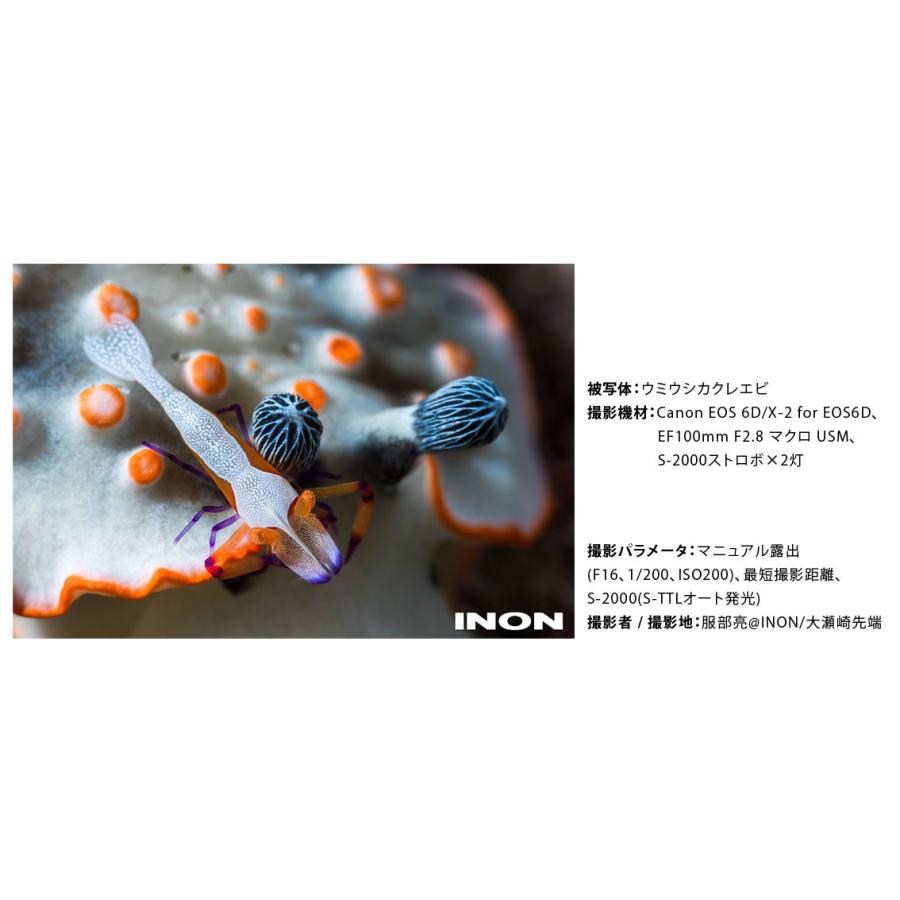 [ INON ] イノン UCL-90 M67水中クローズアップレンズ | INON | 04