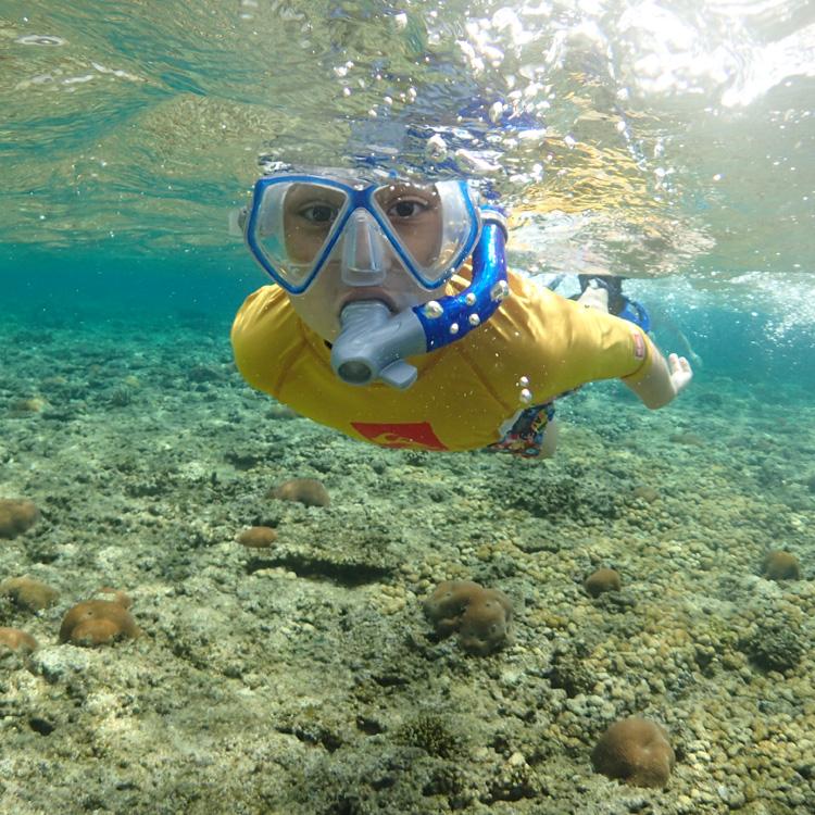 [ mares ] マレス 子供用シュノーケリング3点セット ブルー ALLEGRA PIRATE SET アレグラ ピラテ セット マスク シュノーケル フィン 使い方解説DVD バッグ付 |  | 09