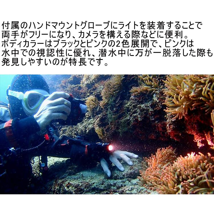 [ bigblue ] bigblue ビッグブルー VTL2600P カメラアクセサリー ダイビング用水中LEDライト ] VTL