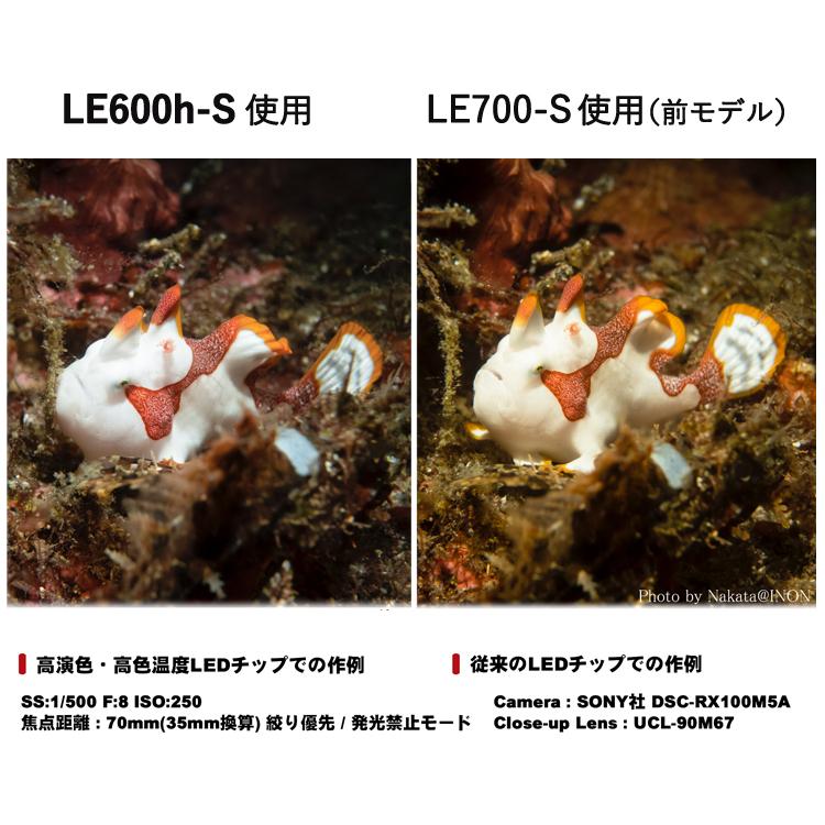 INON（イノン） LE600h-S LED 水中スポットライト : エムアイシー21