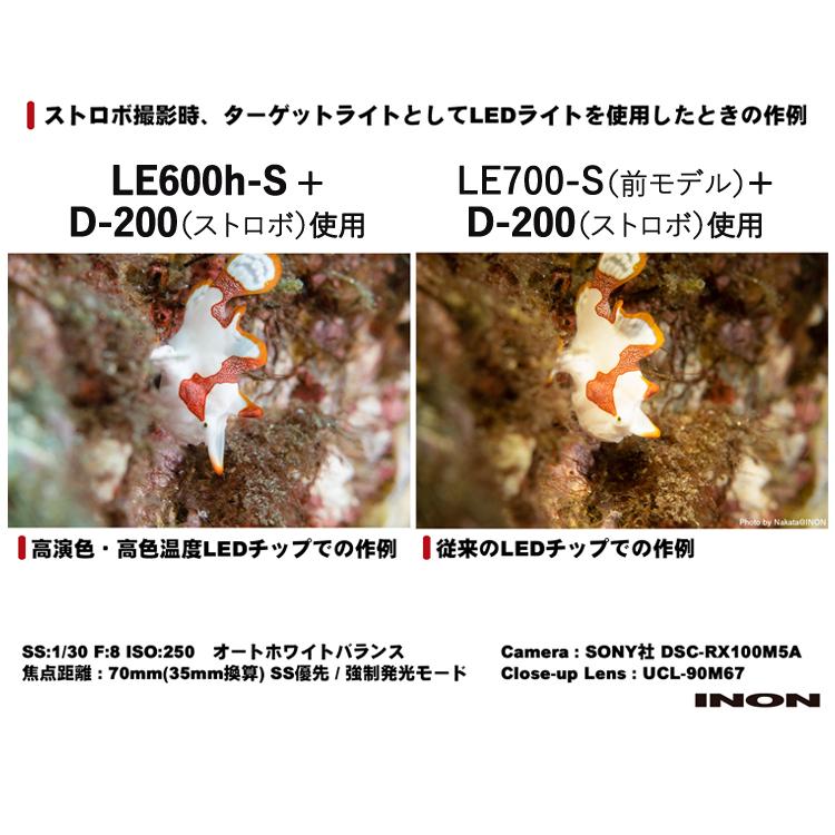 [ INON ] イノン LE600h-W LED 水中ワイドライト | INON | 04
