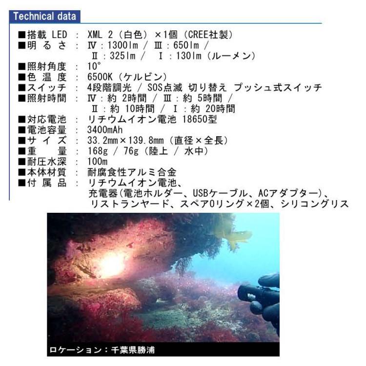 [ bigblue ] ビッグブルー AL-1300NP スポット光 水中LEDライト |  | 01