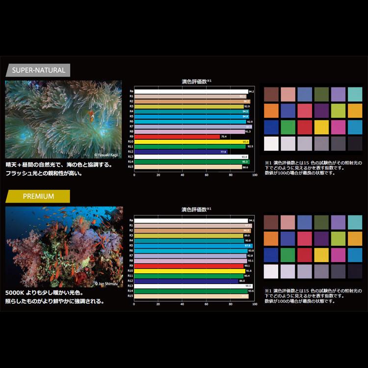 [ RGBlue ] アールジーブルー SYSTEM02:re  SUPER-NATURAL COLOR システム02 スーパーナチュラルカラー S02RE-SNC 水中ビデオライト |  | 02
