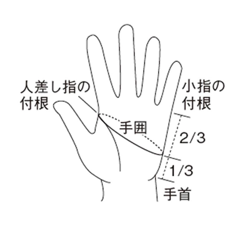 [ BCC ] dlife スイムグローブ ブラック/レッド 水かき付きグローブ パドルグローブ |  | 02