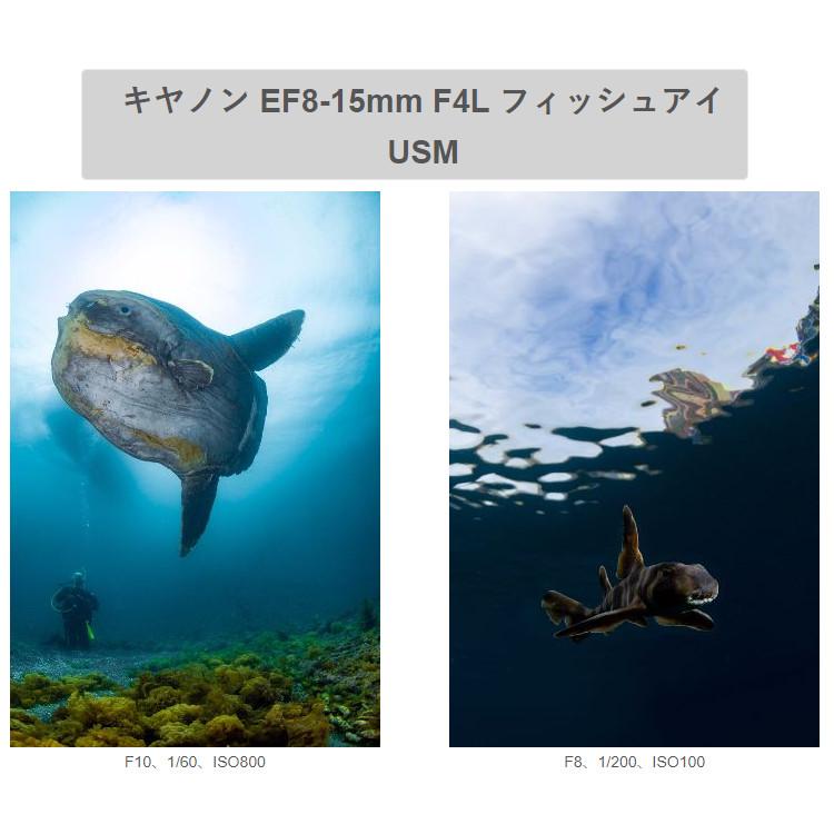 [ INON ] X-2 R6 Mark II  canon EOS R6 Mark II 用 ハウジング キヤノン ミラーレスカメラ キャノン |  | 01