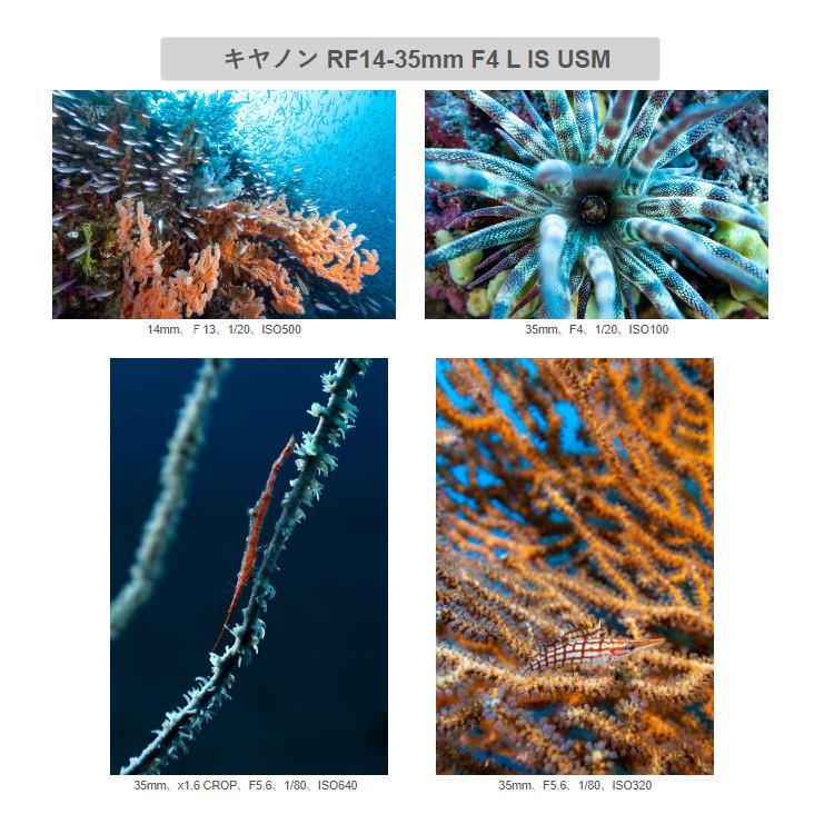 [ INON ] X-2 R6 Mark II  canon EOS R6 Mark II 用 ハウジング キヤノン ミラーレスカメラ キャノン |  | 02