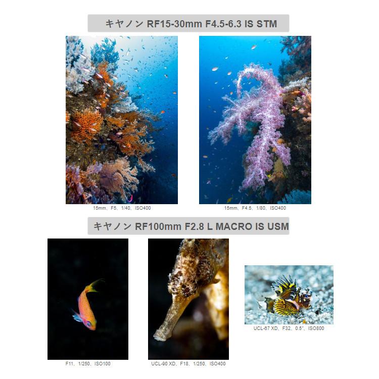 [ INON ] X-2 R6 Mark II  canon EOS R6 Mark II 用 ハウジング キヤノン ミラーレスカメラ キャノン |  | 03