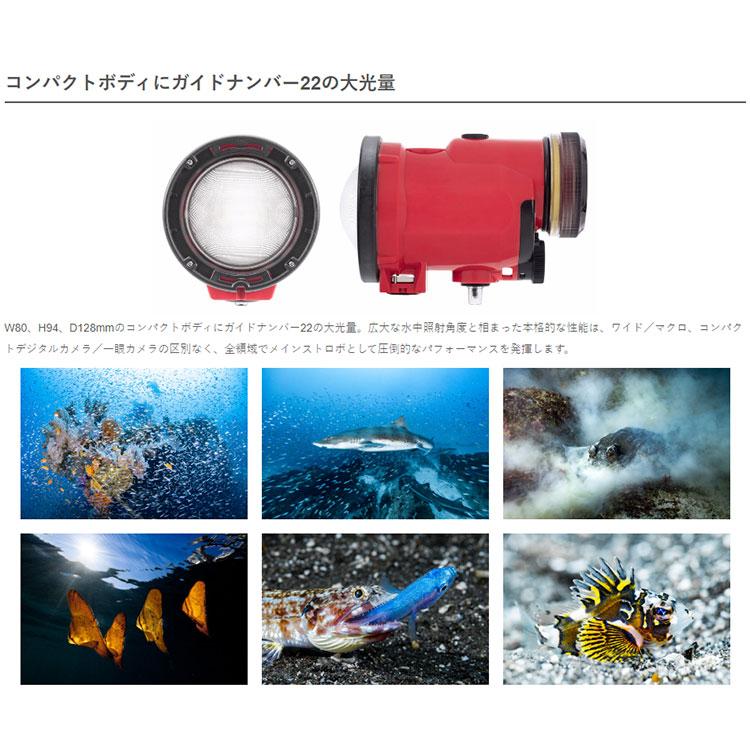 [ INON ] S-220 水中ストロボ イノン S220 | INON | 02