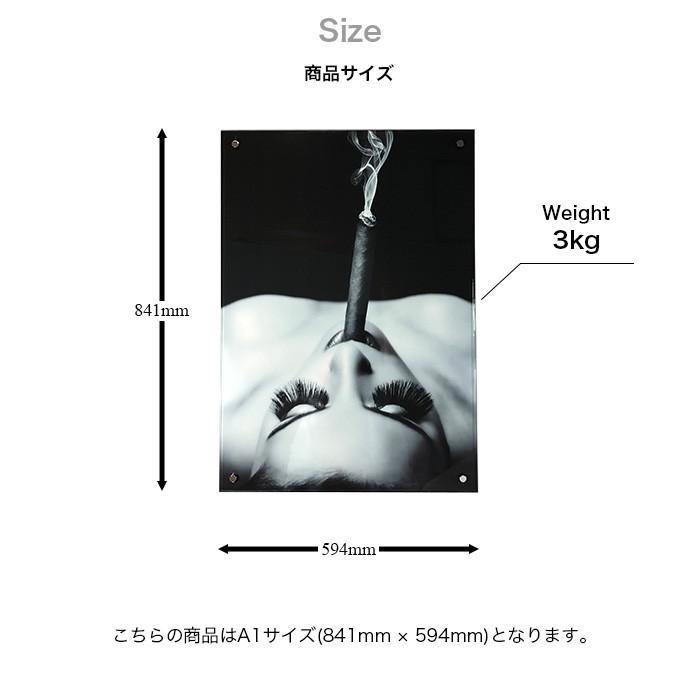 アートパネル アクリル パネル A1 壁掛け 白黒 シック モノクロ マリリン モンロー 景色 シマウマ バラ 花 綺麗 美しい 時計 タバコ 女性 スモーキング ゼブラ Acr C 01 Micヤフーショップ 通販 Yahoo ショッピング