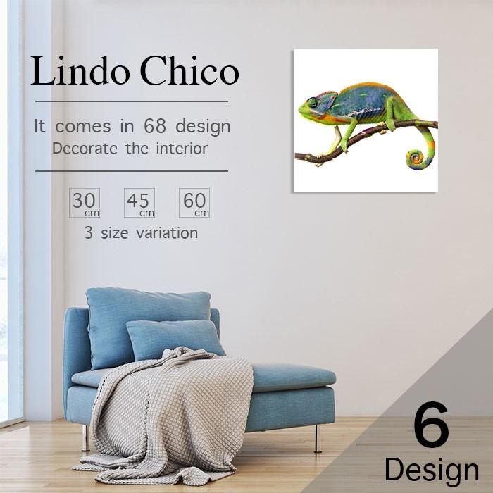 アートパネル おしゃれ 壁掛け 動物 豹 レオパード サファリ アフリカ 馬 ネコ 猫 アニマル キャット ライオン カメレオン パンサー ホース 馬群 黒馬 ペット キ Fab Lindo A 04 Micヤフーショップ 通販 Yahoo ショッピング