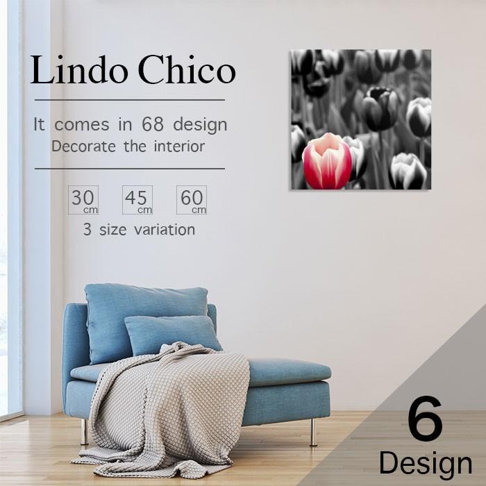 アートパネル モノトーン おしゃれ 壁掛け 白黒 ピンクローズ コントラスト ローズ セピア ふくろう チューリップ 古い町並み 自転車 赤y Taxi タクシー ブッ Fab Lindo B 06 Micヤフーショップ 通販 Yahoo ショッピング