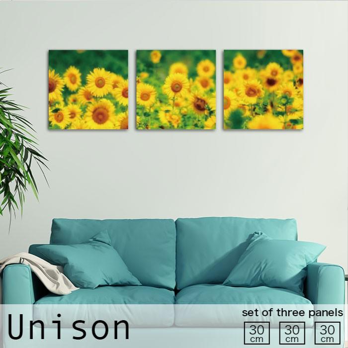 アートパネル 花 母の日 ひまわり 花畑 自然 植物 風景 イエロー おしゃれ 壁掛け 絵 生地 モダン 3連 セット 作る インテリア 人気 ファブリックパネル Fab Uni S 0007 Micヤフーショップ 通販 Yahoo ショッピング