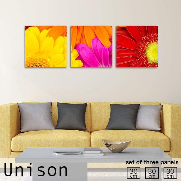 アートパネル Unison Sサイズ オレンジ 赤 黄 ピンク ガーベラ 花 母の日 植物 花束 かわいい おしゃれ 壁掛け 絵 生地 オシャレ 59 以上節約