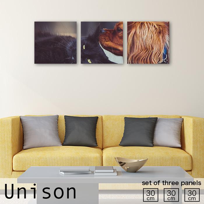 アートパネル 壁掛け 30cm 3枚セット 猫 犬 ネコ イヌ cat dog