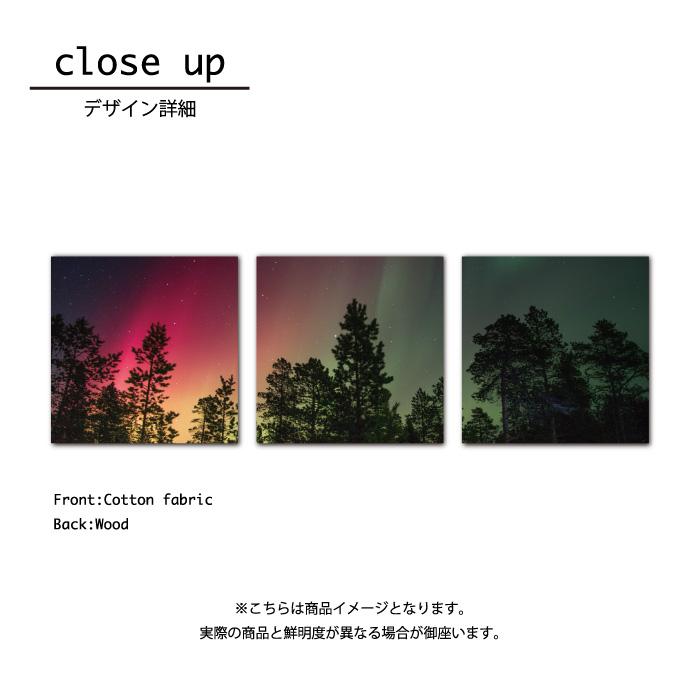 アートパネル 壁掛け 30cm 3枚セット 風景 写真 自然 環境 オーロラ