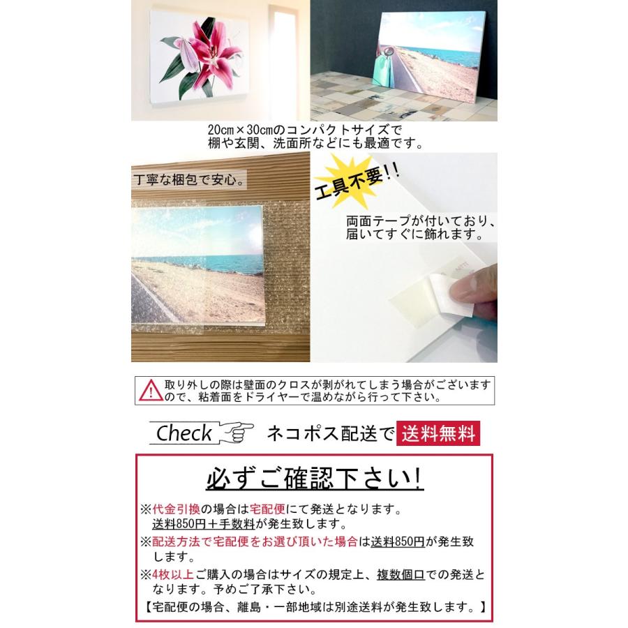 アートパネル モダン 観葉植物 空 グラデーション 落ち葉 どんぐり 新緑 新芽 フェザー 羽 孔雀 工具不要 高画質 絶景 景色 雲海 緑 写真 風景 軽量 簡単 Sch A 03 Micヤフーショップ 通販 Yahoo ショッピング