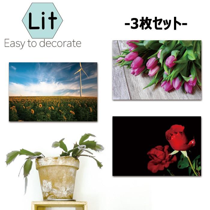 アートパネル 花 カラフル バラ チューリップ ひまわり 桜 紫陽花 フラワー 花柄 モダン 近代 写真 高画質 春夏秋冬 風景 黒 ブラック モノトーン 3枚セット Sch a 02 Micヤフーショップ 通販 Yahoo ショッピング