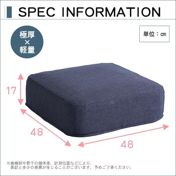 しっとり沈むカバーリング低反発クッション 洗濯可能なクッションカバー 角型【 joue - ジュー - 】同色 2個SETの画像