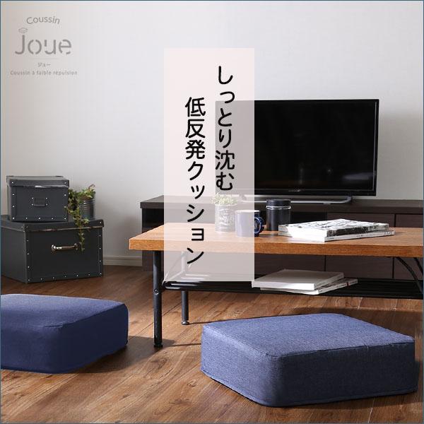 しっとり沈むカバーリング低反発クッション 洗濯可能なクッションカバー 角型【 joue - ジュー - 】同色 2個SETの画像